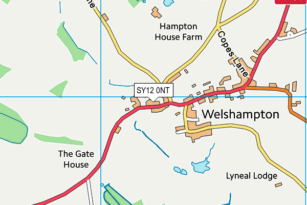 SY12 0NT map - OS VectorMap District (Ordnance Survey)