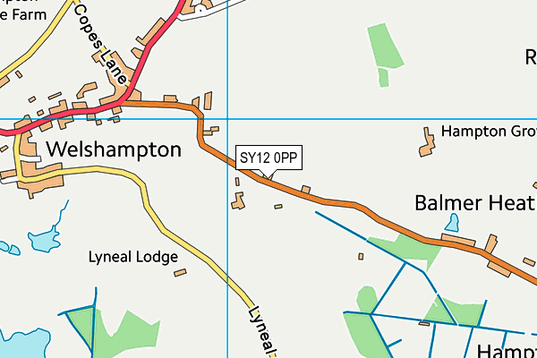 SY12 0PP map - OS VectorMap District (Ordnance Survey)