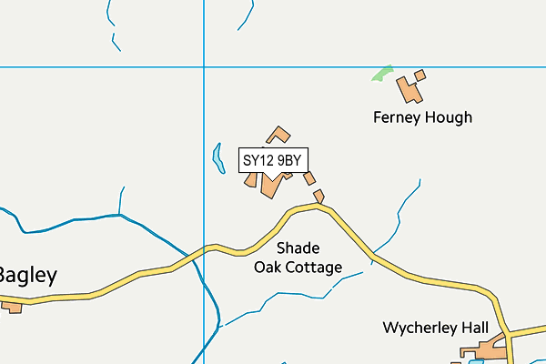 SY12 9BY map - OS VectorMap District (Ordnance Survey)