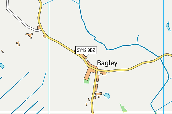 SY12 9BZ map - OS VectorMap District (Ordnance Survey)