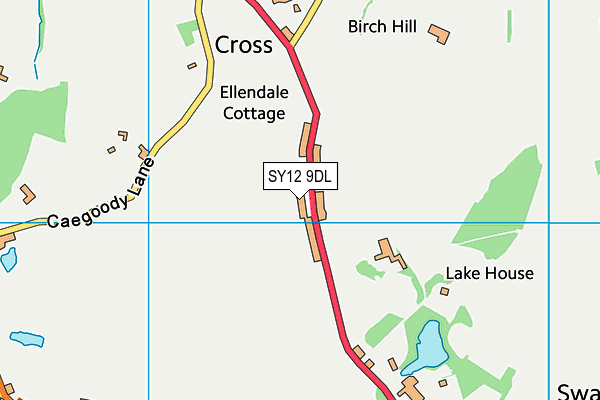 SY12 9DL map - OS VectorMap District (Ordnance Survey)