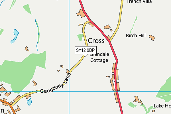 SY12 9DP map - OS VectorMap District (Ordnance Survey)