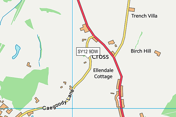 SY12 9DW map - OS VectorMap District (Ordnance Survey)