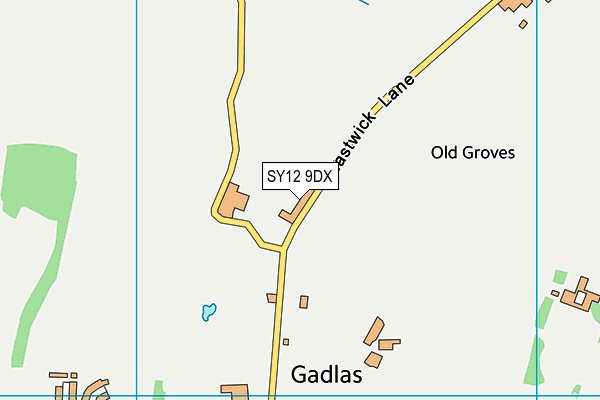 SY12 9DX map - OS VectorMap District (Ordnance Survey)