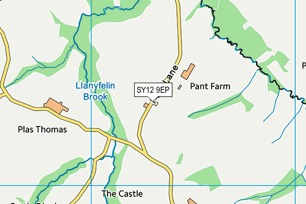 SY12 9EP map - OS VectorMap District (Ordnance Survey)