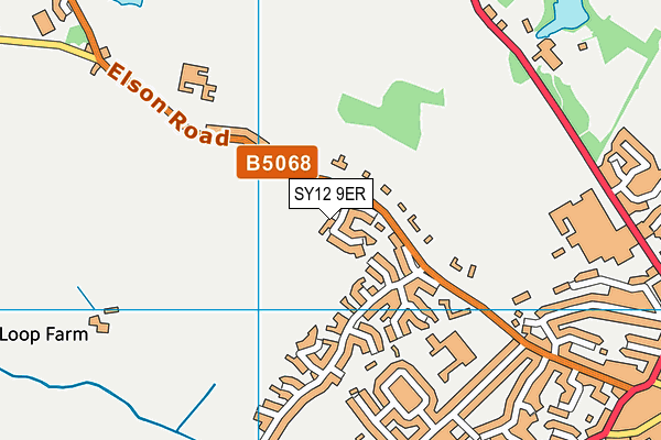 SY12 9ER map - OS VectorMap District (Ordnance Survey)