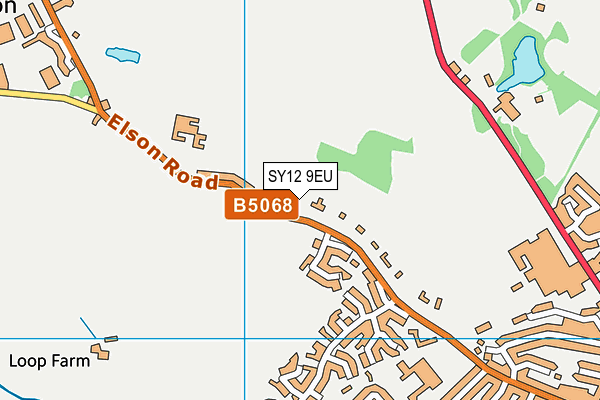 Ellesmere Primary School map (SY12 9EU) - OS VectorMap District (Ordnance Survey)