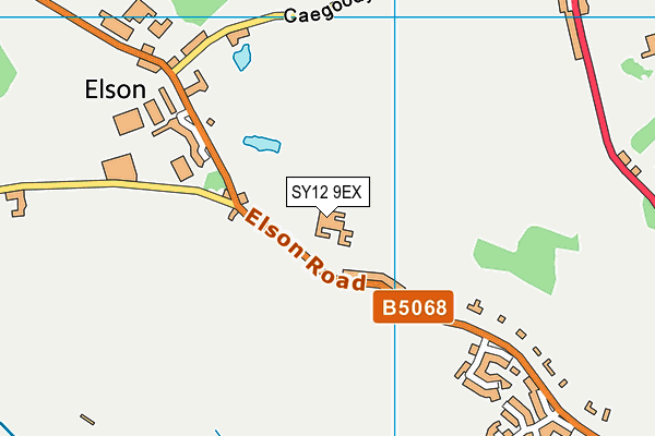 SY12 9EX map - OS VectorMap District (Ordnance Survey)