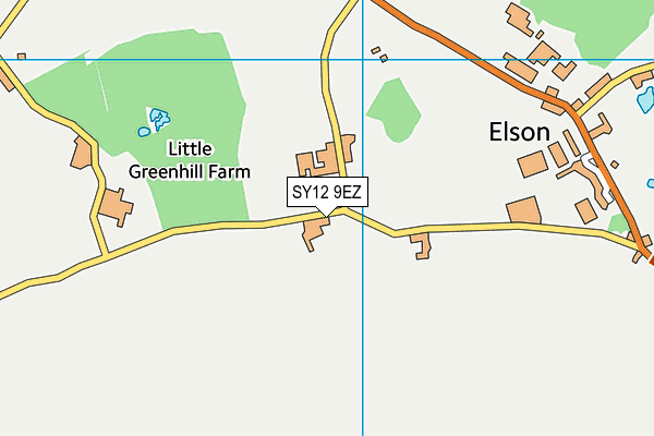 SY12 9EZ map - OS VectorMap District (Ordnance Survey)