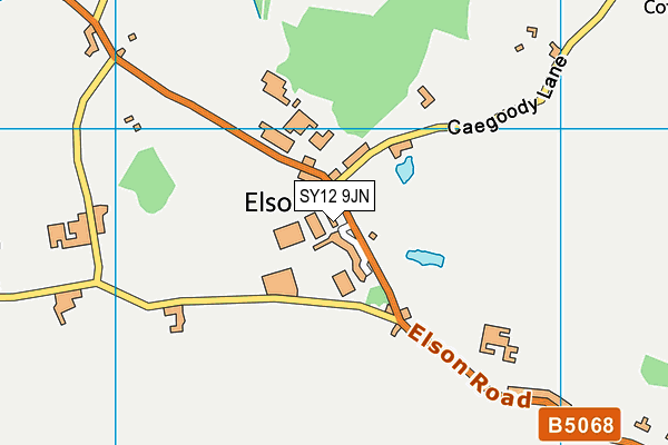 SY12 9JN map - OS VectorMap District (Ordnance Survey)