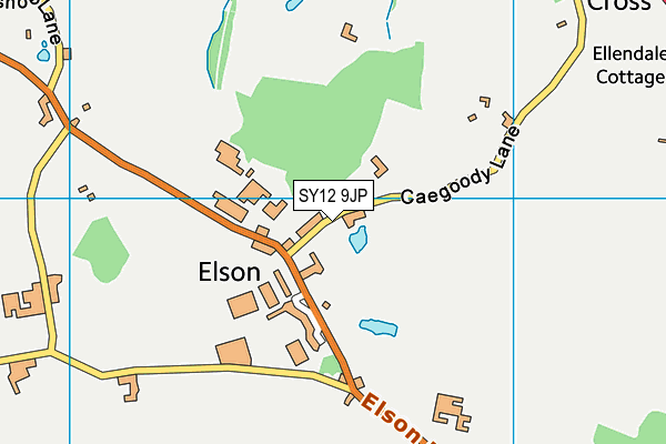 SY12 9JP map - OS VectorMap District (Ordnance Survey)