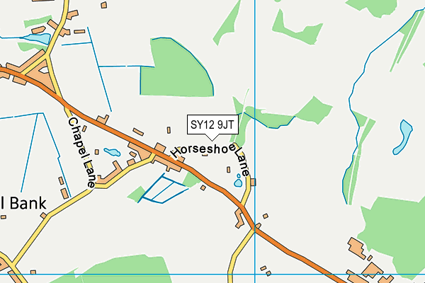 SY12 9JT map - OS VectorMap District (Ordnance Survey)