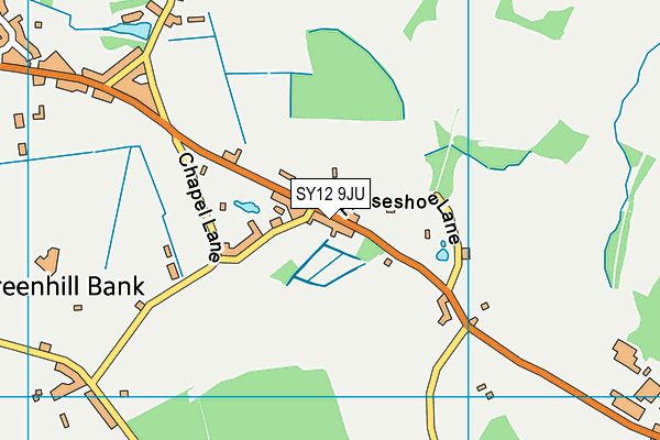 SY12 9JU map - OS VectorMap District (Ordnance Survey)