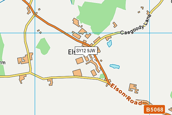 SY12 9JW map - OS VectorMap District (Ordnance Survey)