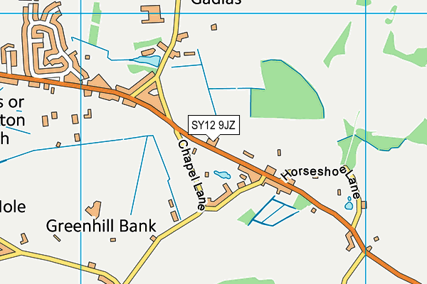 SY12 9JZ map - OS VectorMap District (Ordnance Survey)