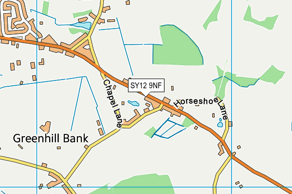 SY12 9NF map - OS VectorMap District (Ordnance Survey)