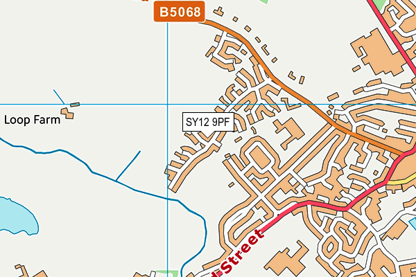 SY12 9PF map - OS VectorMap District (Ordnance Survey)