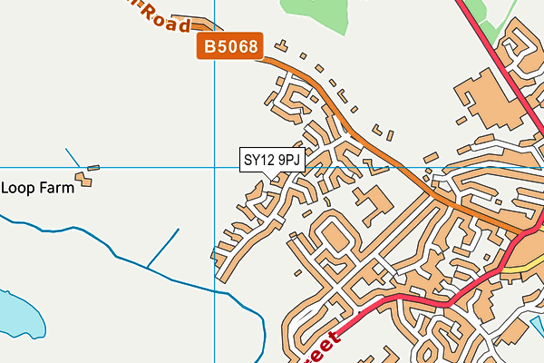 SY12 9PJ map - OS VectorMap District (Ordnance Survey)