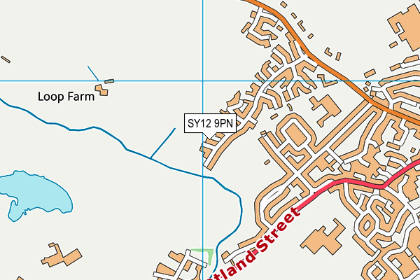 SY12 9PN map - OS VectorMap District (Ordnance Survey)