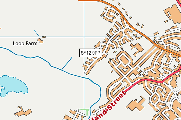 SY12 9PP map - OS VectorMap District (Ordnance Survey)