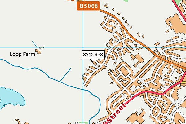 SY12 9PS map - OS VectorMap District (Ordnance Survey)