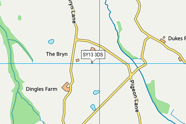 SY13 3DS map - OS VectorMap District (Ordnance Survey)