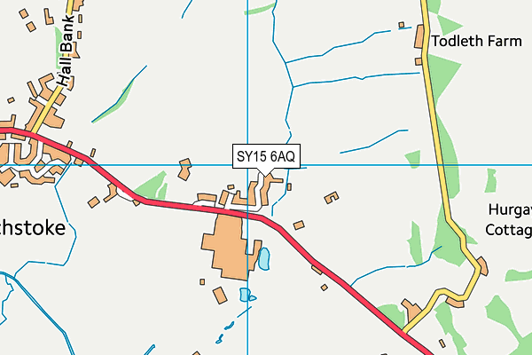 SY15 6AQ map - OS VectorMap District (Ordnance Survey)