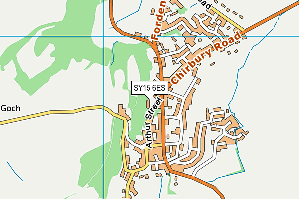 SY15 6ES map - OS VectorMap District (Ordnance Survey)