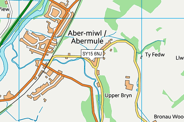 SY15 6NJ map - OS VectorMap District (Ordnance Survey)