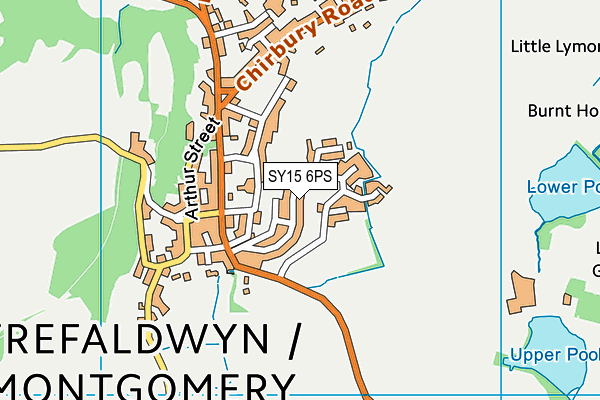 SY15 6PS map - OS VectorMap District (Ordnance Survey)