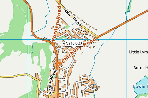 SY15 6QJ map - OS VectorMap District (Ordnance Survey)