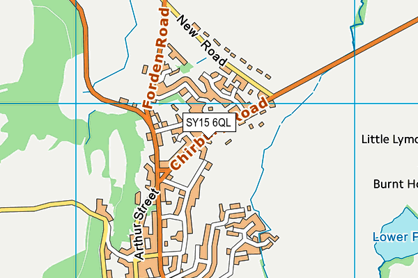 SY15 6QL map - OS VectorMap District (Ordnance Survey)