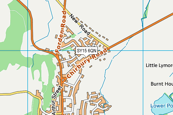 SY15 6QN map - OS VectorMap District (Ordnance Survey)