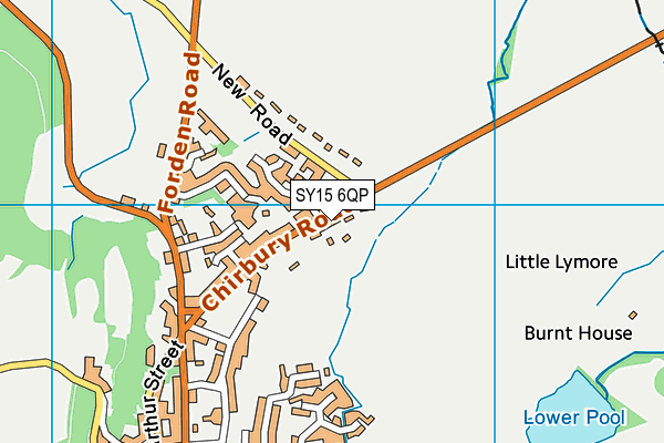 SY15 6QP map - OS VectorMap District (Ordnance Survey)