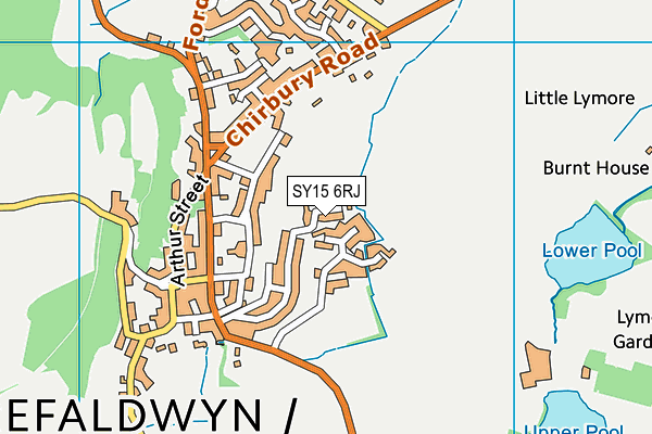 SY15 6RJ map - OS VectorMap District (Ordnance Survey)