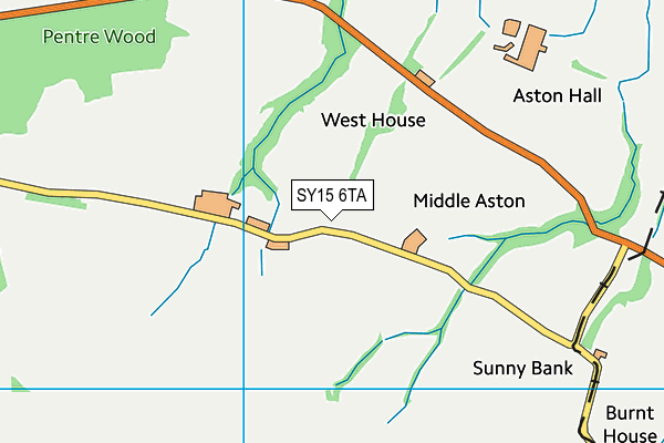 SY15 6TA map - OS VectorMap District (Ordnance Survey)