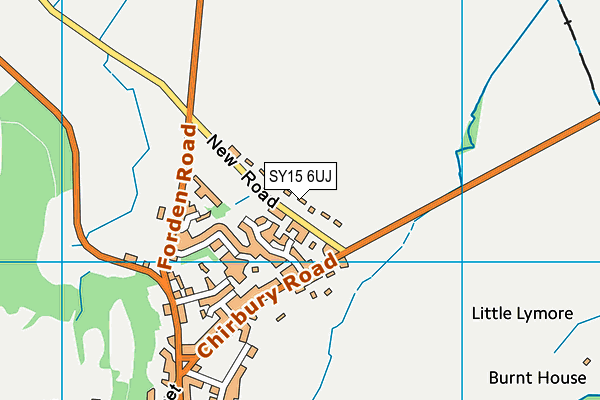 SY15 6UJ map - OS VectorMap District (Ordnance Survey)