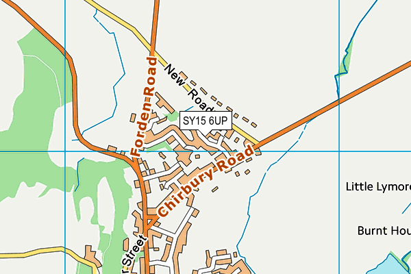 SY15 6UP map - OS VectorMap District (Ordnance Survey)