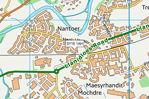 SY16 1AH map - OS VectorMap District (Ordnance Survey)
