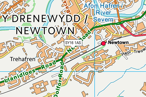 SY16 1AS map - OS VectorMap District (Ordnance Survey)