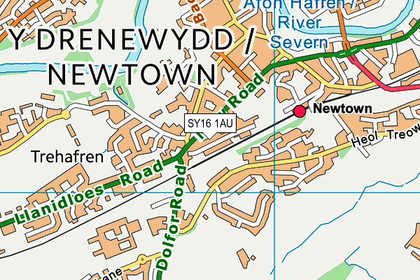 SY16 1AU map - OS VectorMap District (Ordnance Survey)