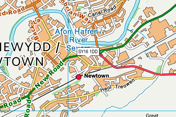 SY16 1DD map - OS VectorMap District (Ordnance Survey)