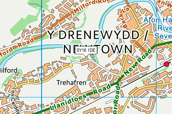 SY16 1DE map - OS VectorMap District (Ordnance Survey)