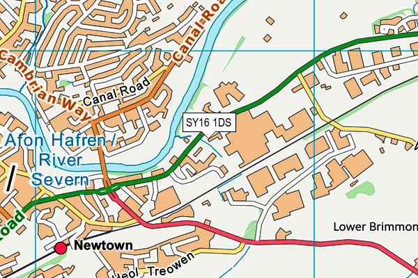 SY16 1DS map - OS VectorMap District (Ordnance Survey)