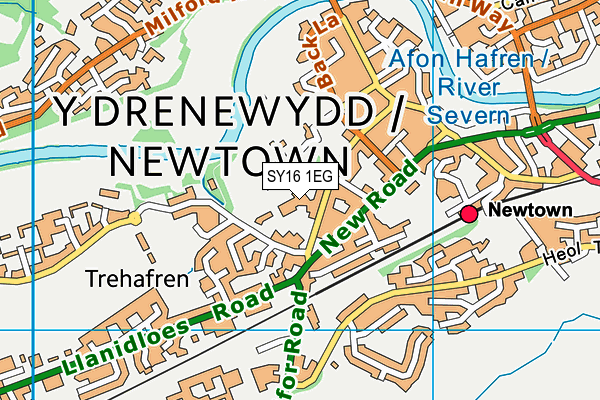 Ysgol Calon y Dderwen map (SY16 1EG) - OS VectorMap District (Ordnance Survey)