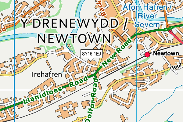 SY16 1EJ map - OS VectorMap District (Ordnance Survey)