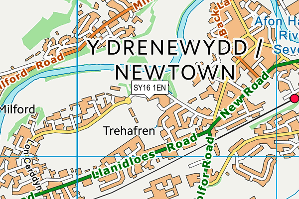 SY16 1EN map - OS VectorMap District (Ordnance Survey)