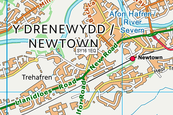 SY16 1EQ map - OS VectorMap District (Ordnance Survey)