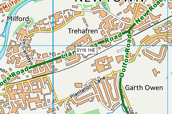 SY16 1HE map - OS VectorMap District (Ordnance Survey)