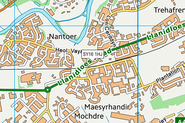 SY16 1HJ map - OS VectorMap District (Ordnance Survey)